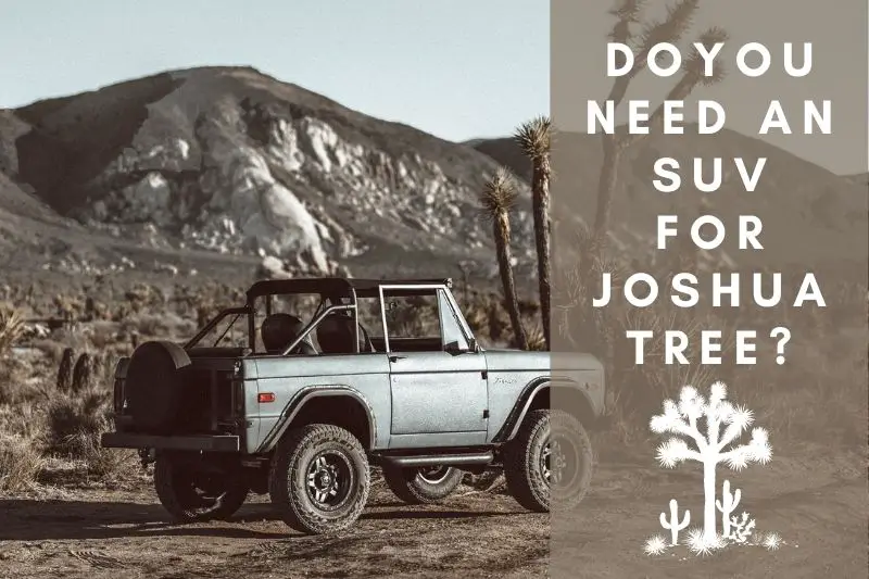 SUV 4WD for Joshua Tree