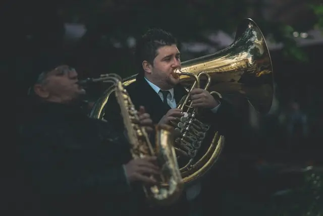 Some Folks Playing a Tuba Instrument Pictures