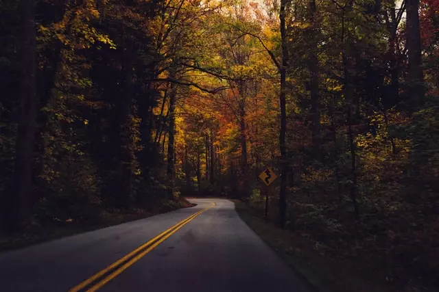 Picture of Great Smoky Mountains Road in Autumn