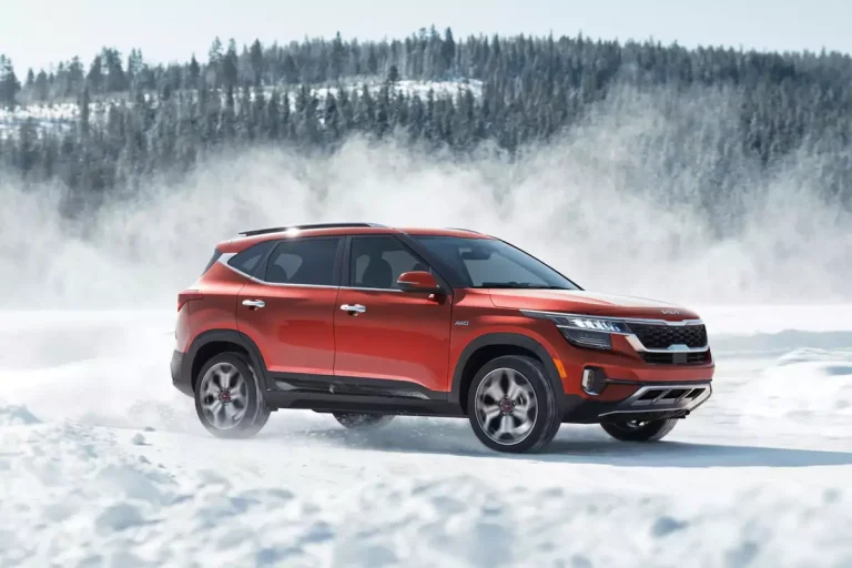 Kia Seltos Cruising Snow